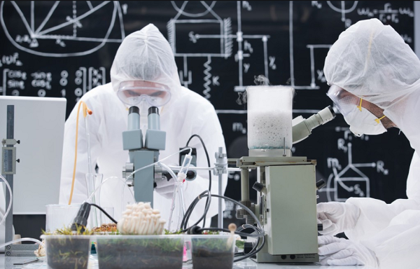 某化學工程項目定制款電蒸汽發生器使用案例！